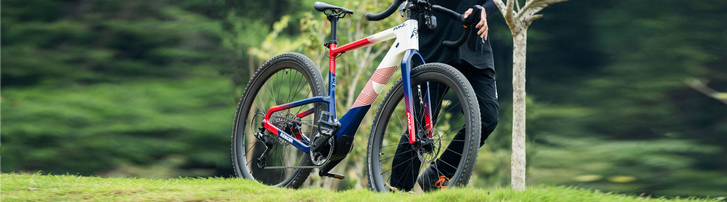 Electric Gravel Bike
