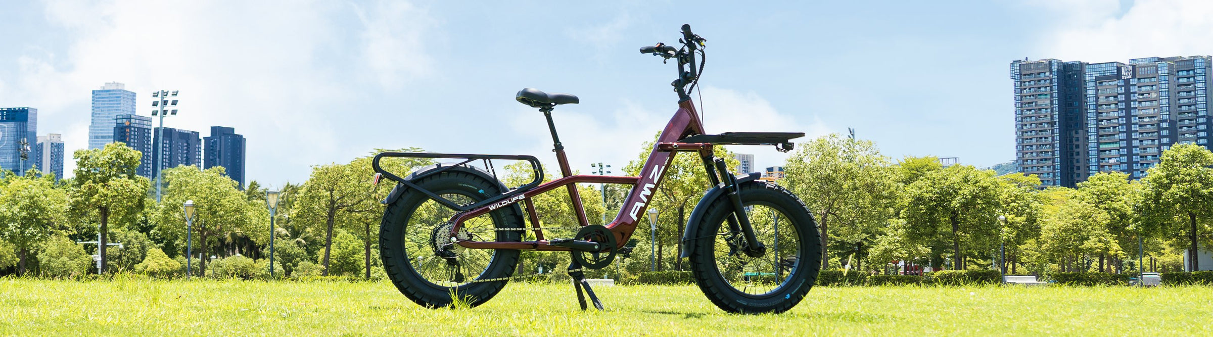 electric cargo bikes