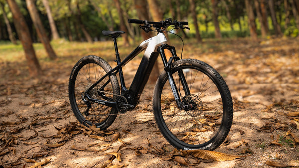 Amzcycle Paladin: Conquer Wild Trails - AMZcycle