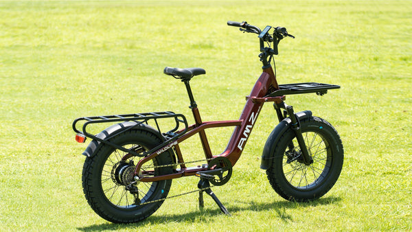 Wildlife Electric Cargo Bike: Green Logistics Made Easy - AMZcycle