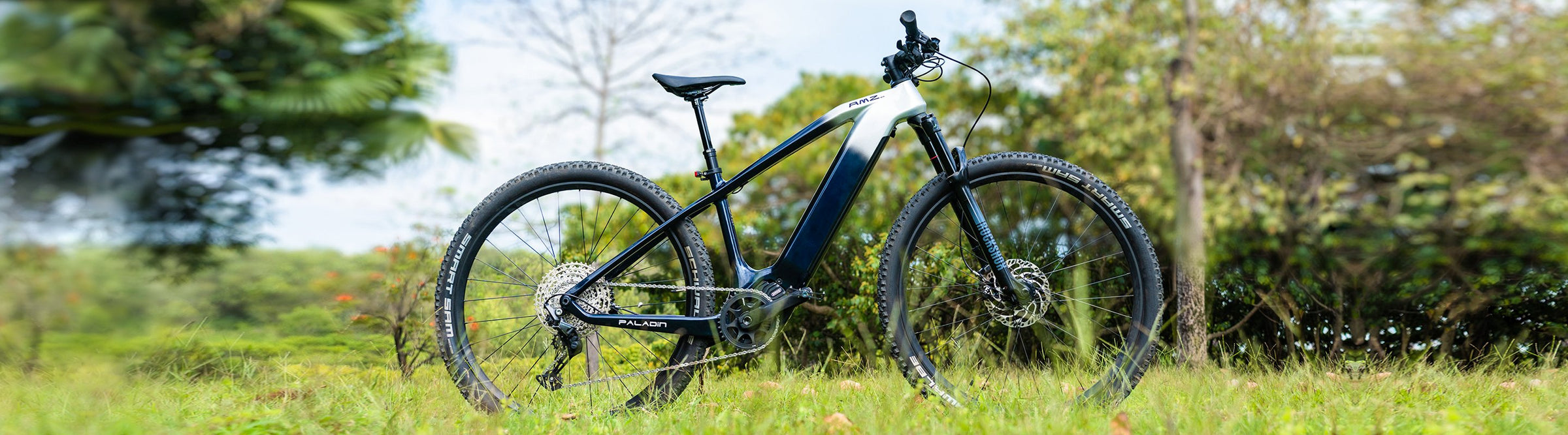 Electric Mountain Bike