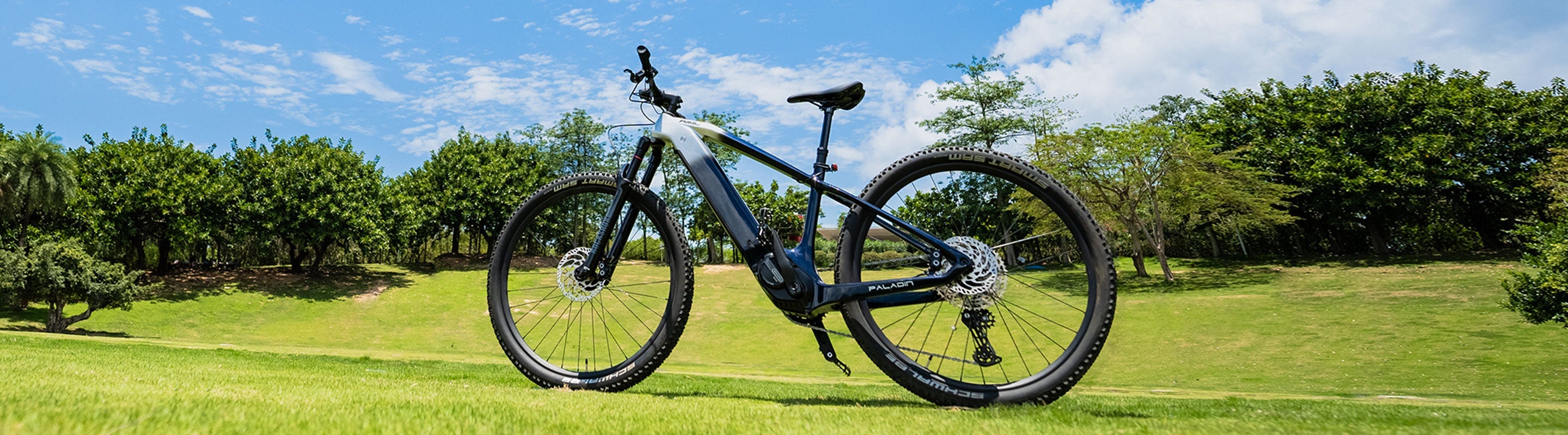 Electric Mountain Bike