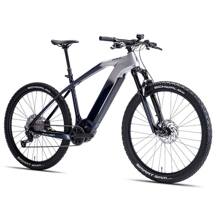 Paladin Electric XC MBike