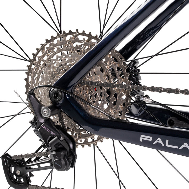 Paladin Electric XC MBike