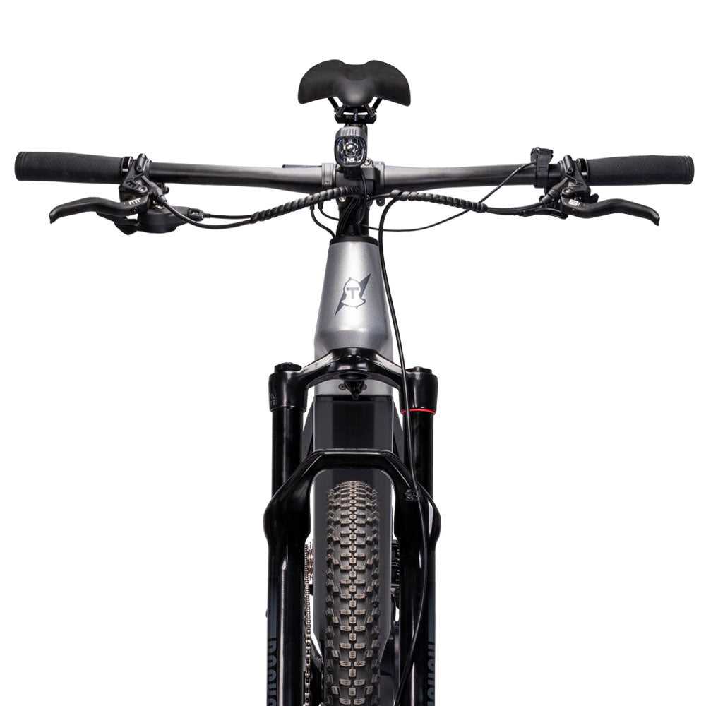 Paladin Electric XC MBike