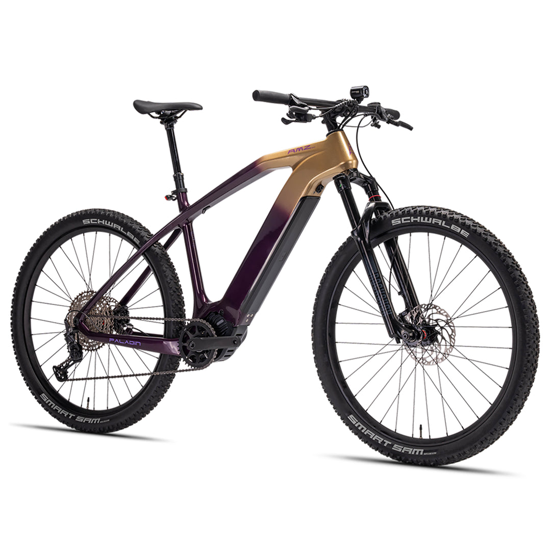 Paladin Electric XC MBike