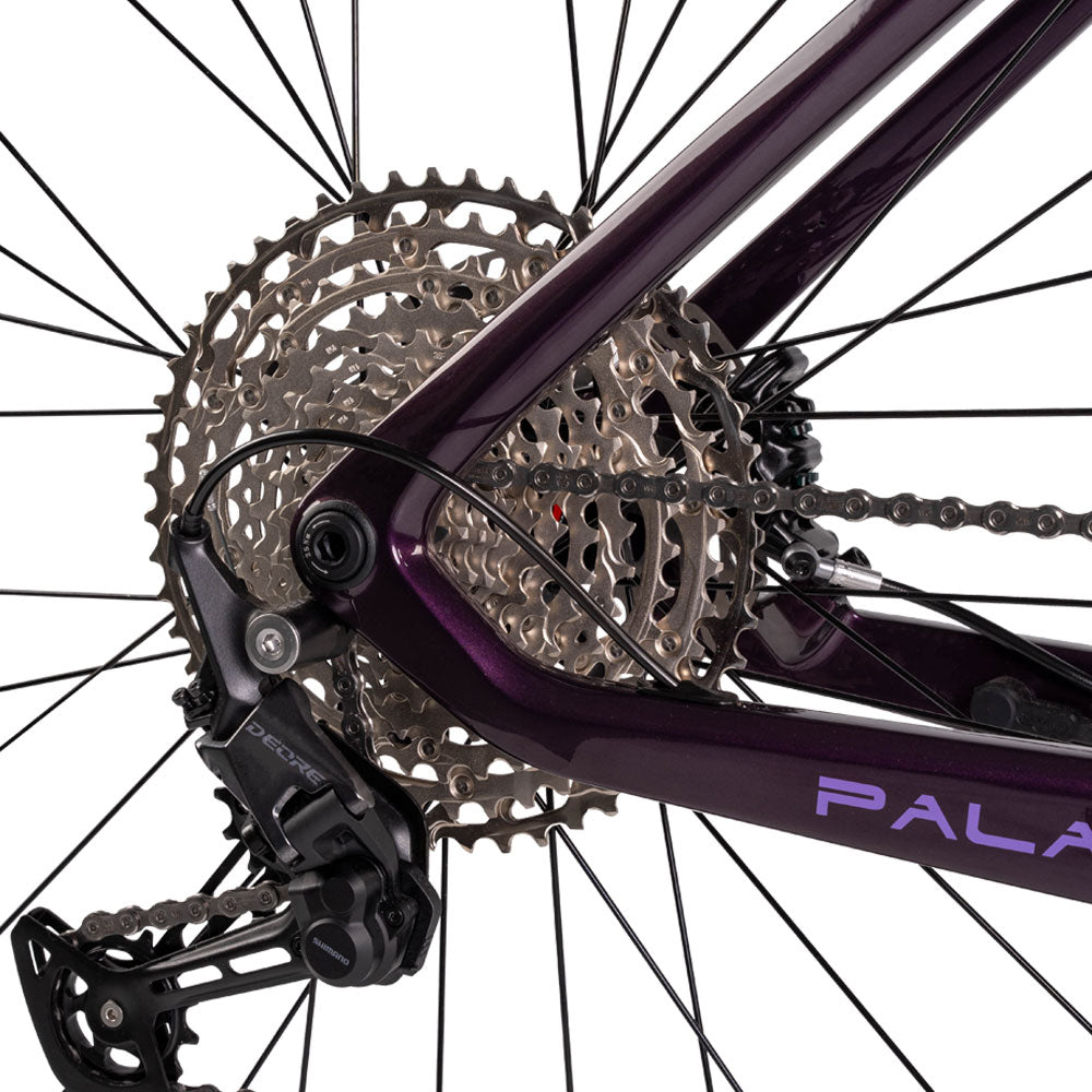 Paladin Electric XC MBike