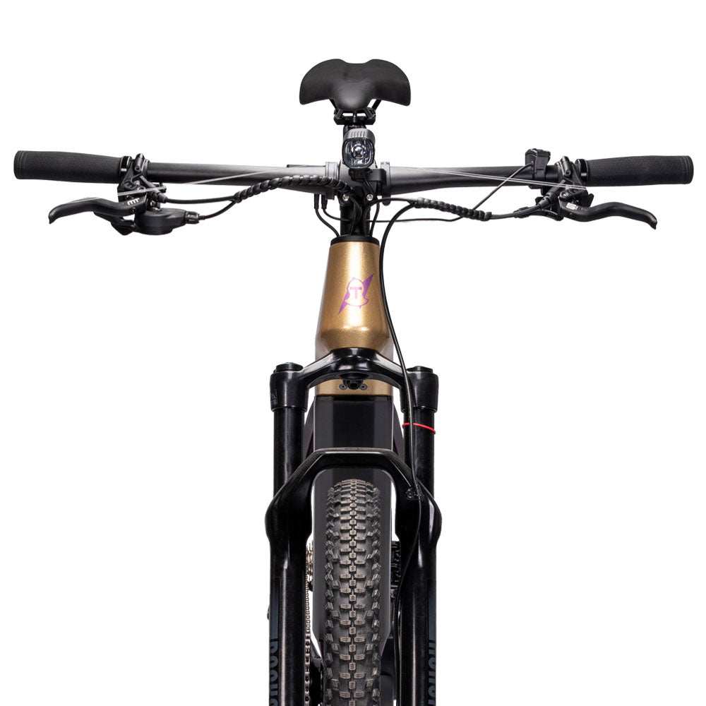 Paladin Electric XC MBike