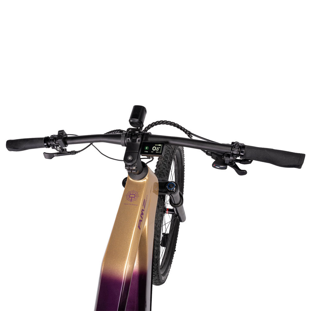 Paladin Electric XC MBike