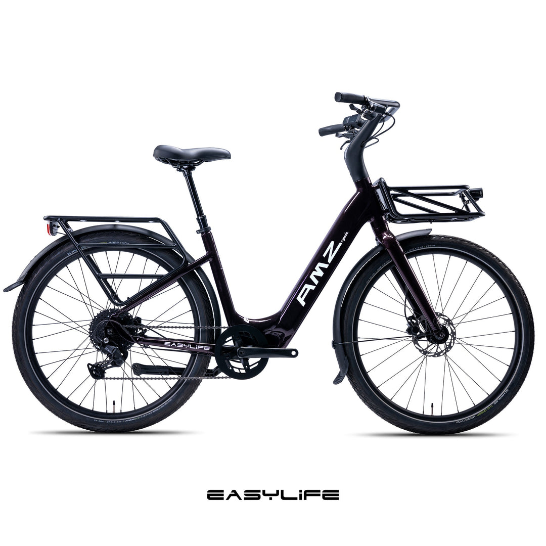Easylife Electric Bike AMZcycle