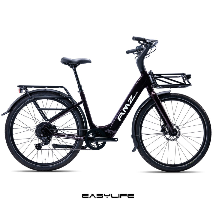 Easylife Electric Bike AMZcycle