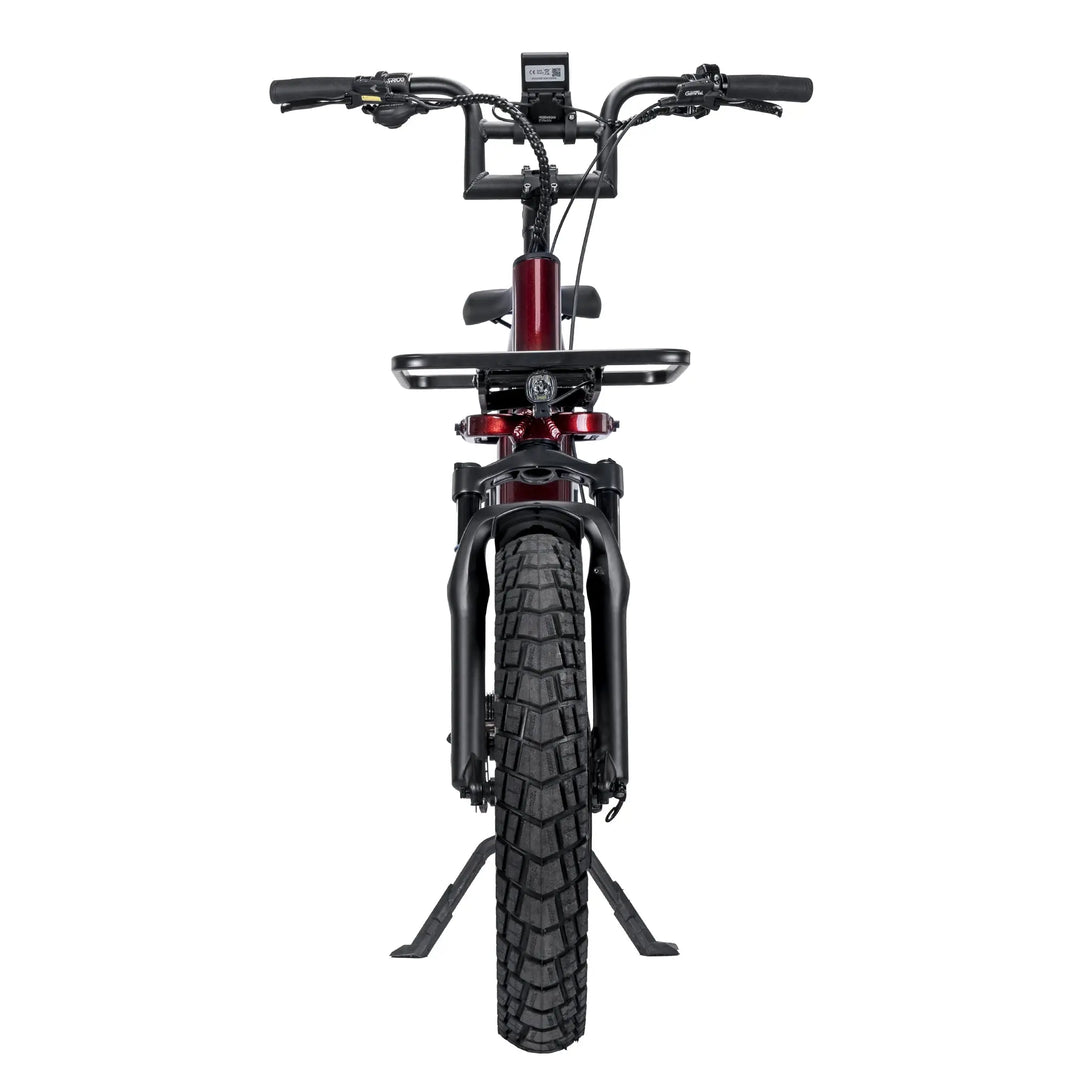 Wildlife Electric Cargo Ebike AMZcycle