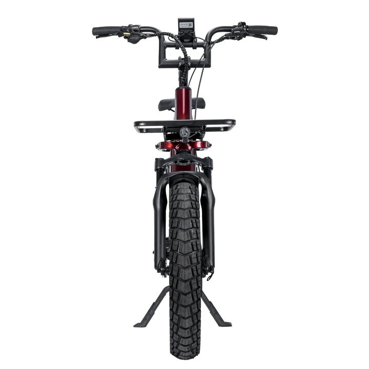 Wildlife Electric Cargo Ebike AMZcycle