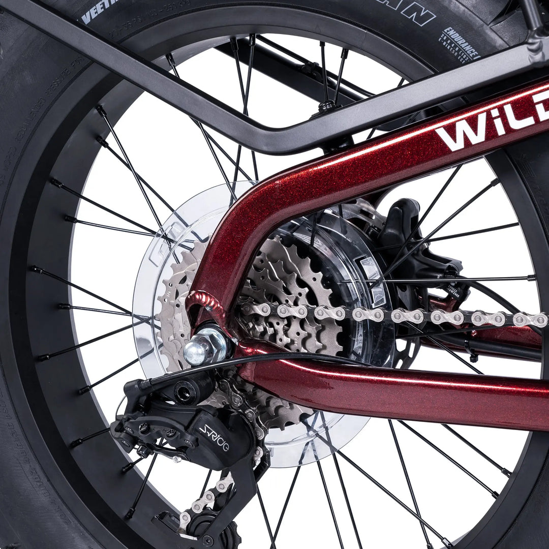 Wildlife Electric Cargo Ebike AMZcycle