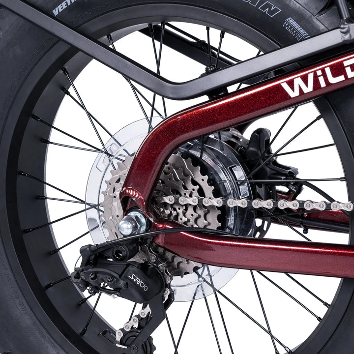 Wildlife Electric Cargo Ebike AMZcycle