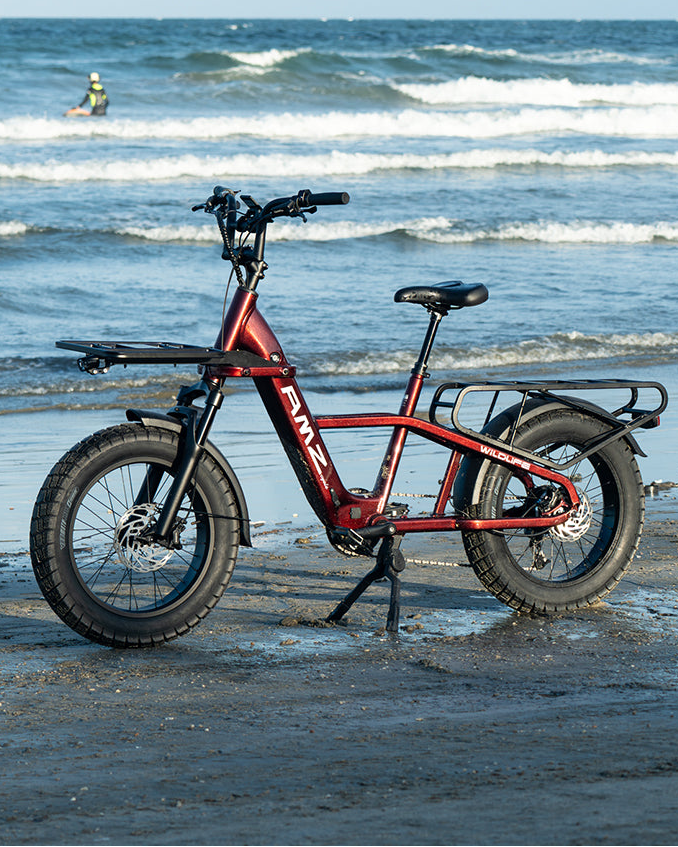 Cargo Ebikes