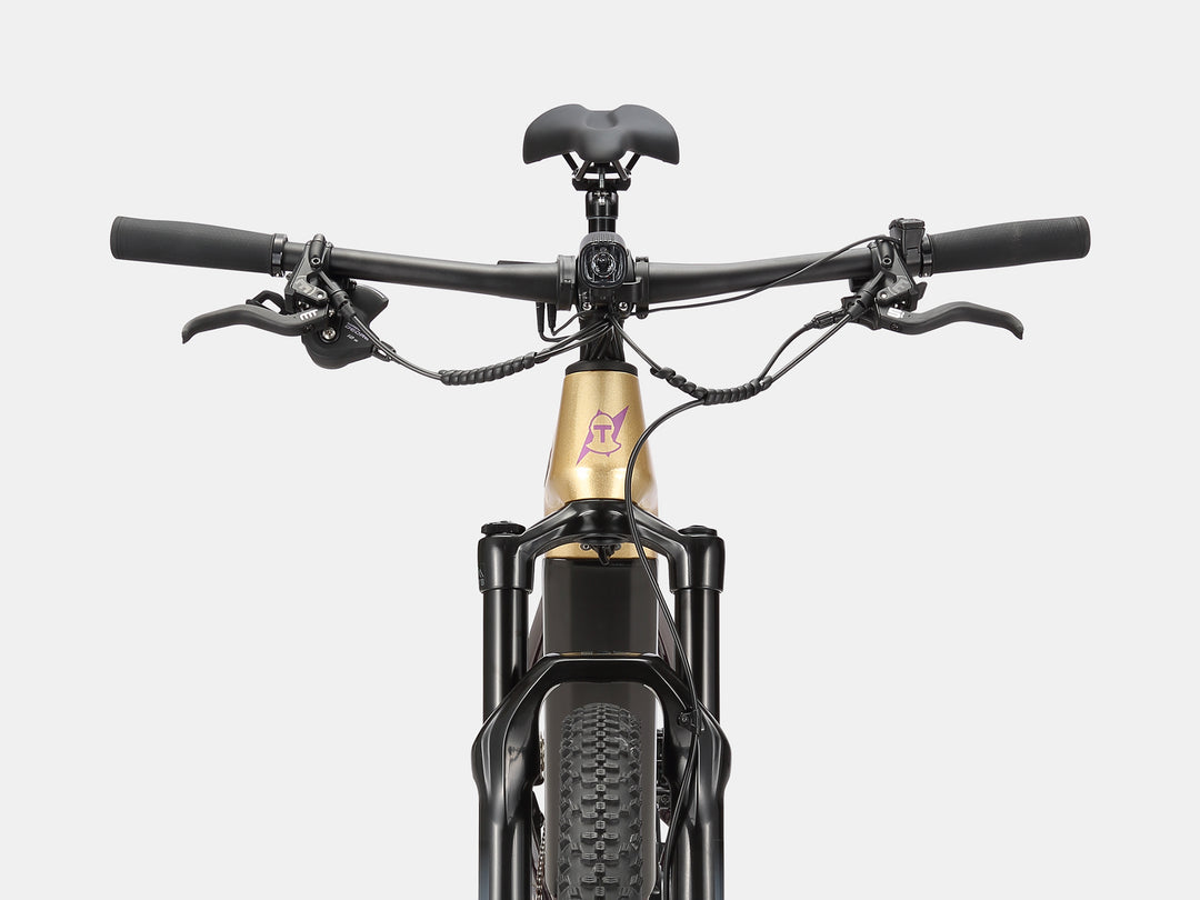 Paladin Electric XC Mountain Bike