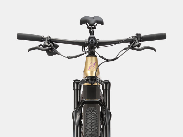 Paladin Electric XC Mountain Bike