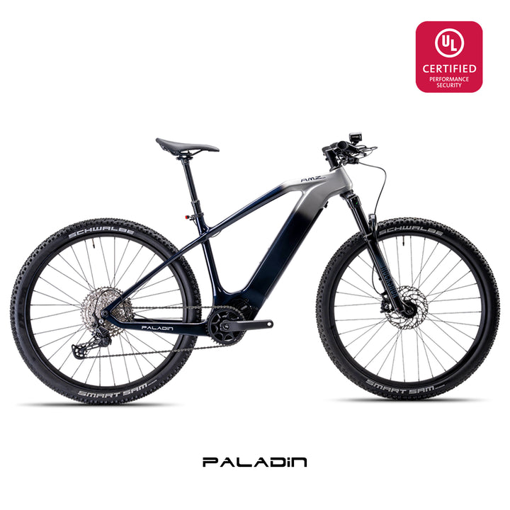 Paladin Electric XC Mountain Bike