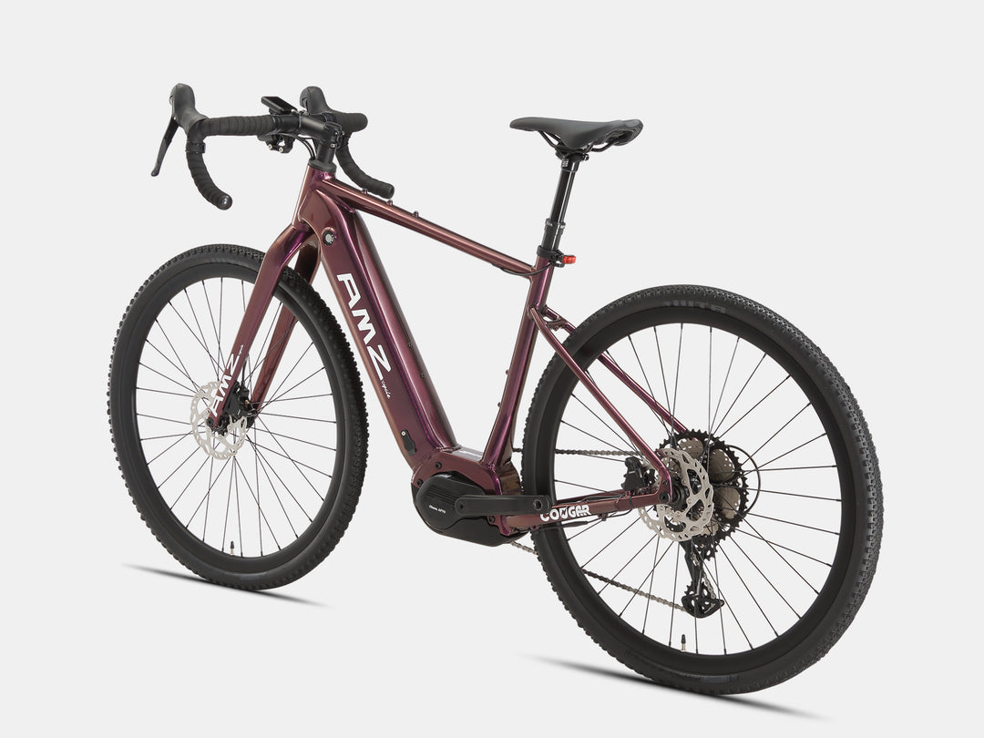 Cougar Electric Gravel Bike