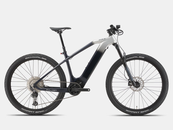 Paladin Electric XC Mountain Bike - AMZcycleDawn Silver