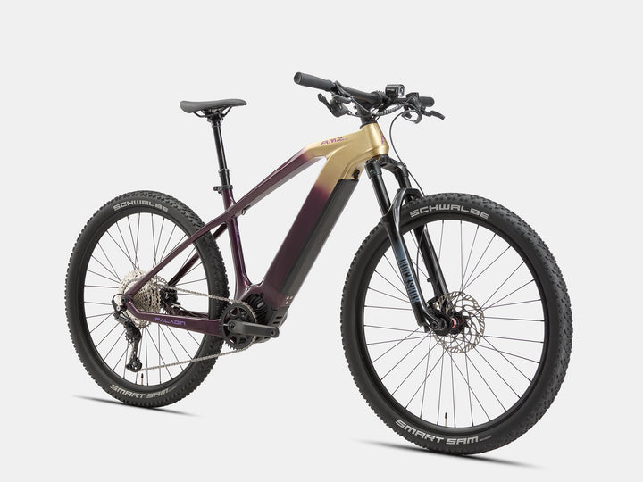 Paladin Electric XC Mountain Bike - AMZcycleGloam Gold
