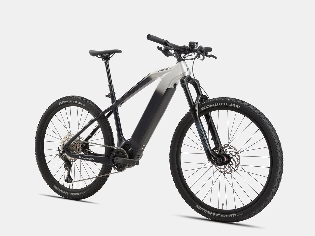 Paladin Electric XC Mountain Bike - AMZcycleDawn Silver
