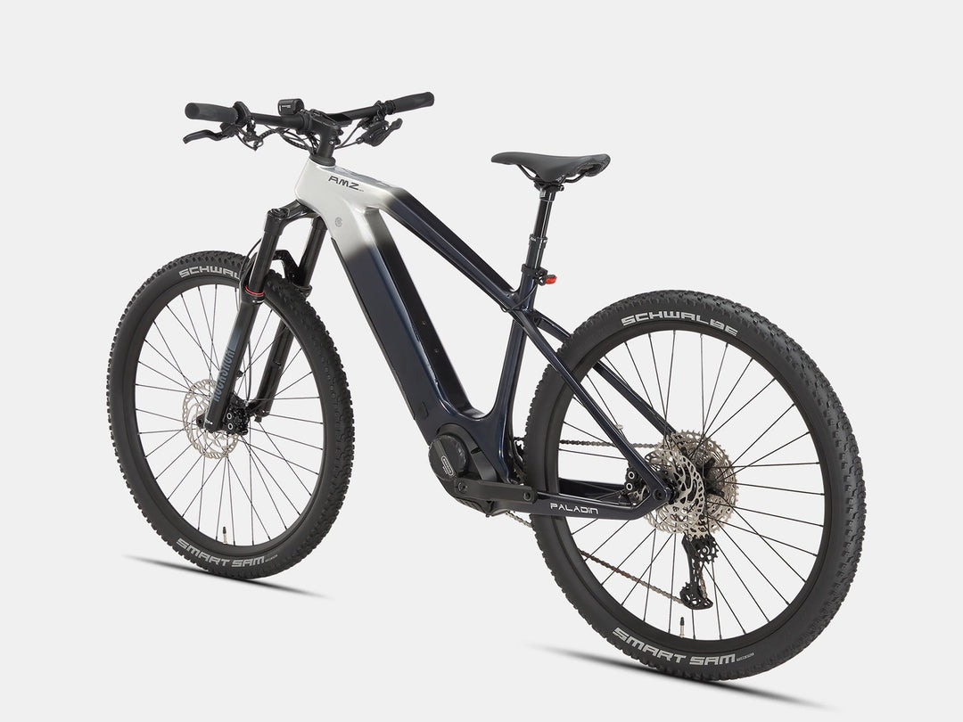Paladin Electric XC Mountain Bike - AMZcycleDawn Silver
