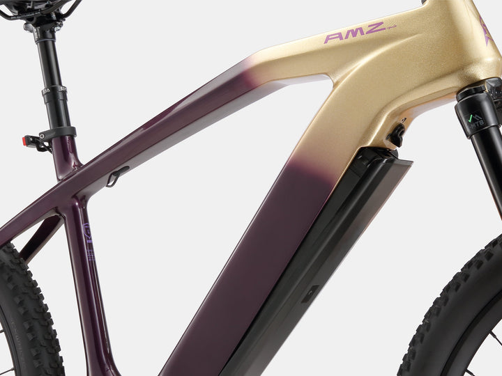 Paladin Electric XC Mountain Bike - AMZcycleGloam Gold